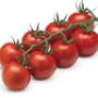De lekkerste biologische tomaten