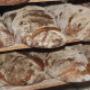 Lokaal biologisch boerenbrood
