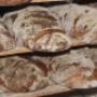 Lokaal biologisch boerenbrood