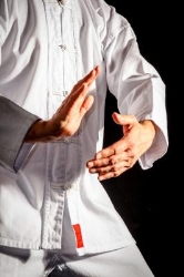 Tai Chi & Chi Kung Centrum 'Zuanshi' Groningen