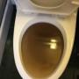 wc verstopt den haag