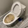 wc verstopt