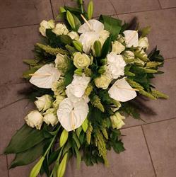 Tristell Bloemen & Planten