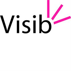 Visib