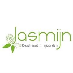 Jasmijn Coach met minipaarden