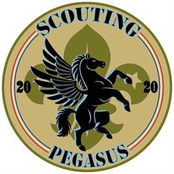 SCOUTING PEGASUS