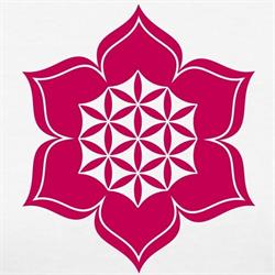 Lotus Health Studio