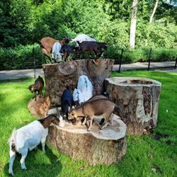 Kinderboerderij Eigen Erf