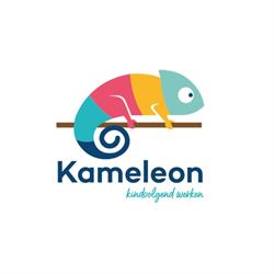Kameleon100