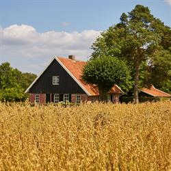 Landgoed Oude Brunninckhuis