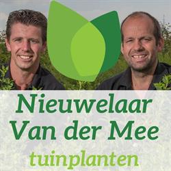 Nieuwelaar- van der Mee Tuinplanten vof