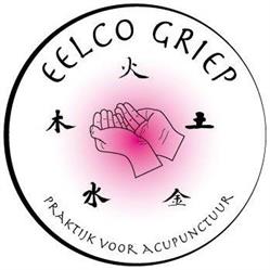 Eelco Griep, Praktijk voor Acupunctuur