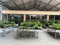 Natuur en Gezondheidcentrum Maarssen