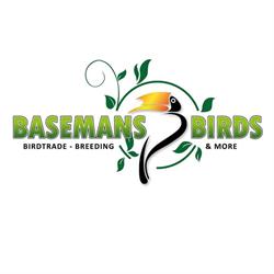 Basemans Birds
