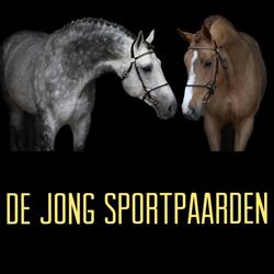 De Jong Sportpaarden