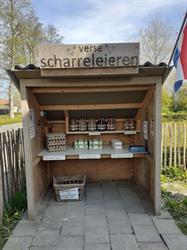 Sommelsei