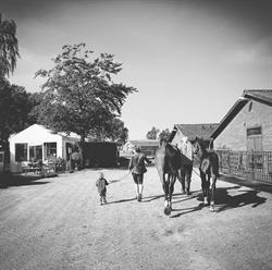 Stal van Kairos