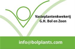 G.H.Bol en Zoon