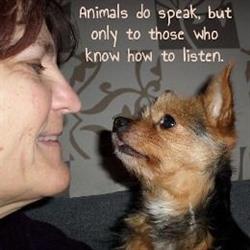 Dierentolk Angela van der Ploeg