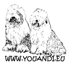 Youandi