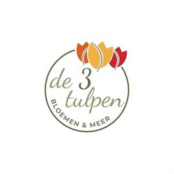 De 3 Tulpen - bloemen & meer