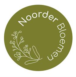 Noorderbloemen