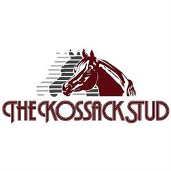 The Kossack Stud. B.V.
