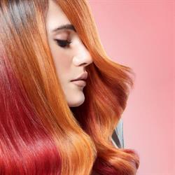 Hank’s Haircorner Elst
