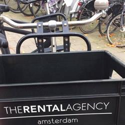 The Rental Agency