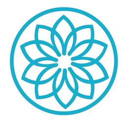 Will to balance - massage praktijk en bellicon training