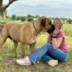 Dol op je hond
