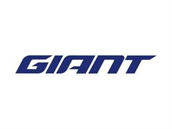 Giant Store Houten