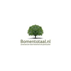 Bomentotaal