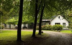 Bed and Breakfast Boshuis Epe
