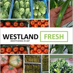 Westland Fresh BV
