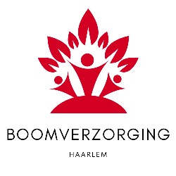 Boomverzorging Haarlem