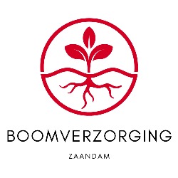 Boomverzorging Zaandam