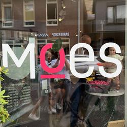 Moes