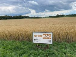 Strobox