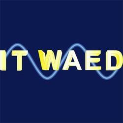 It Waed, Sexbierum
