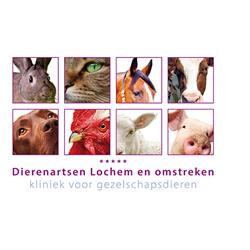 Dierenkliniek Lochem - Gorssel