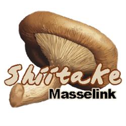 Shiitake kwekerij Masselink