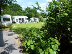 Camping Boszicht