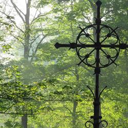Transitium Zeeveld