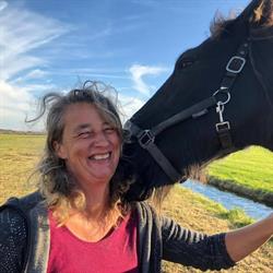 Jaeike met paarden Leiderschapstrainer & Teamcoach