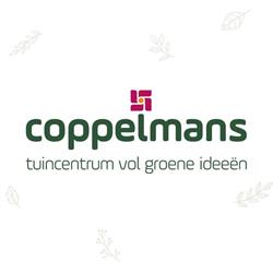 Tuincentrum Coppelmans Helmond
