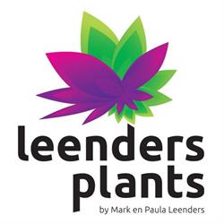 Leenders Plants