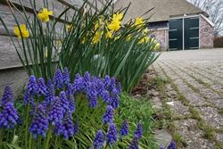 Accommodatie Claercamp