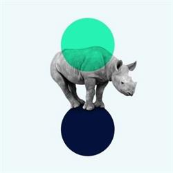 Creative design agency ttwwoo