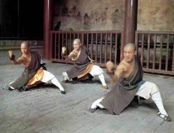 Shaolin Kungfu School 'Apeldoorn'